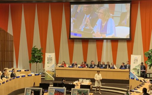 Eikosphere Participates in FIRST Nature-Based Solutions (NBS) UN Summit